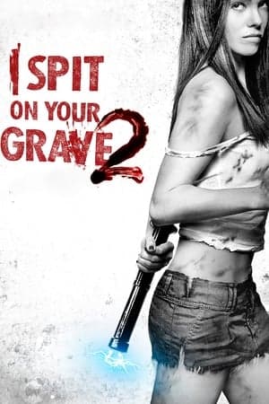 Poster phim Cô Gái Báo Thù 2