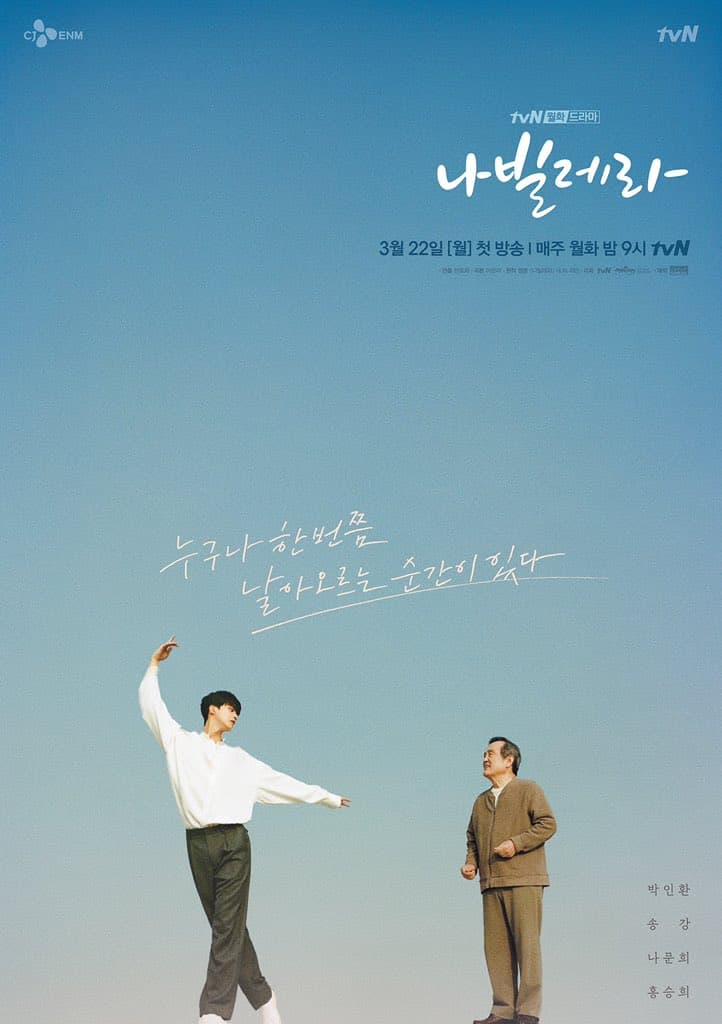 Poster phim Navillera: Như Cánh Bướm