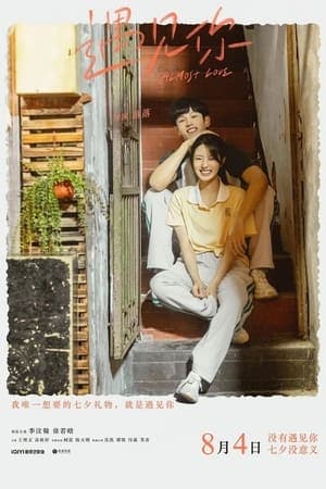 Poster phim Gặp Được Em
