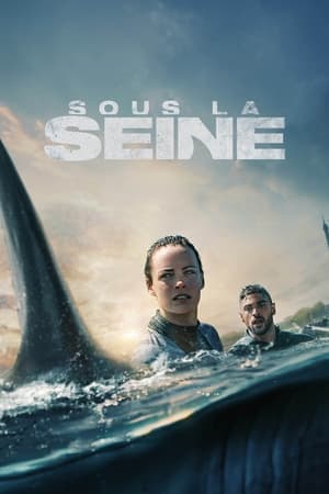 Poster phim Phía Dưới Sông Seine