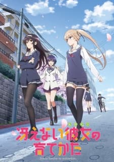 Poster phim Saenai Heroine No Sodatekata
