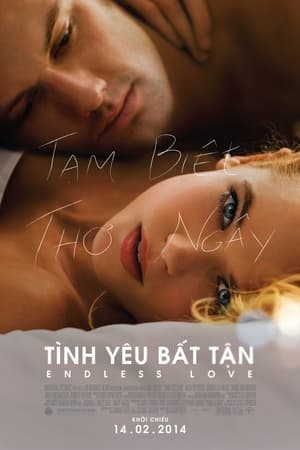 Poster phim Tình Yêu Bất Tận