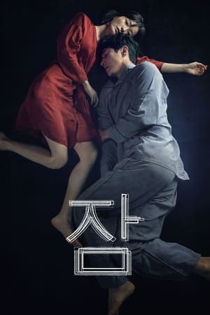Poster phim Mộng Du