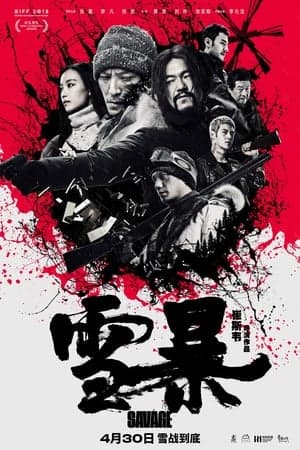 Poster phim Bão Tuyết
