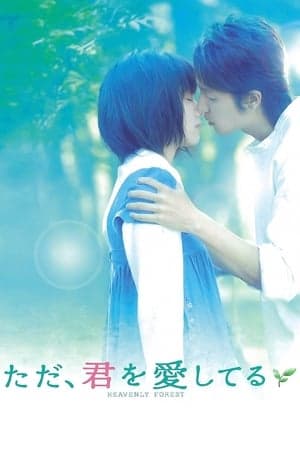 Poster phim Tấm Ảnh Tình Yêu