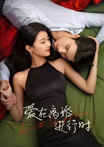 Poster phim Yêu Khi Sắp Ly Hôn