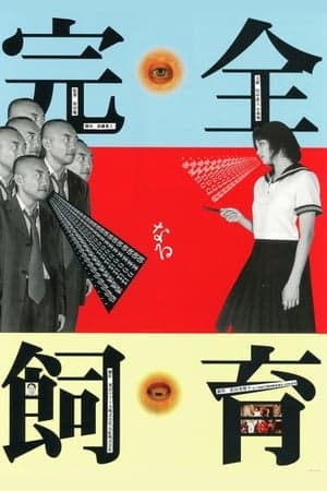 Poster phim Yêu Kẻ Bắt Cóc 1