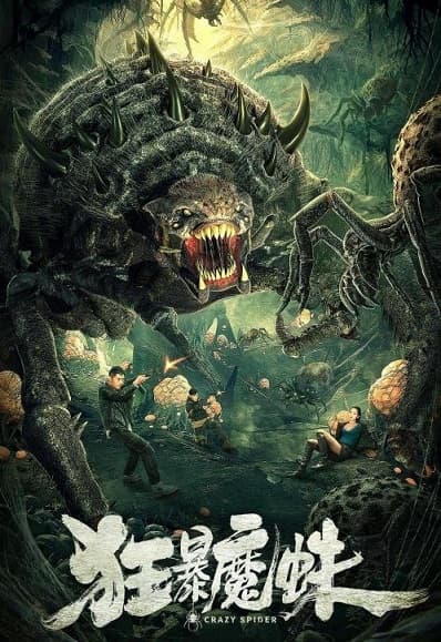 Poster phim Nhện Điên