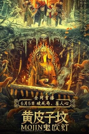 Poster phim Mộ Hoàng Bì Tử