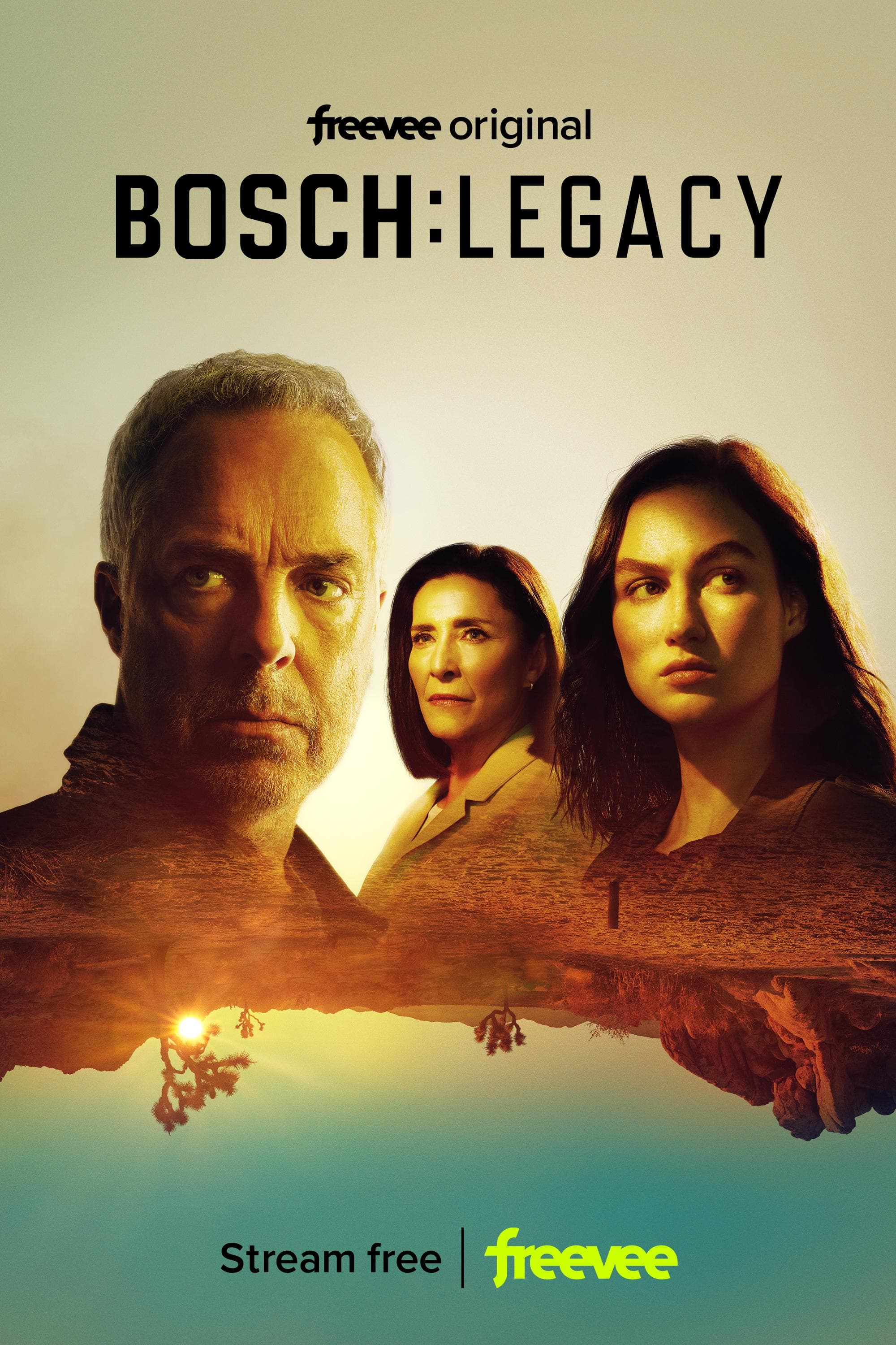 Poster phim Thanh Tra Bosch: Hậu Truyện (Phần 2)