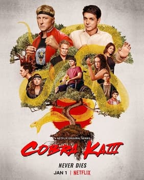 Poster phim Võ Đường Cobra Kai (Phần 3)