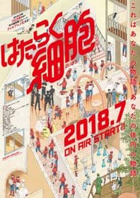Poster phim Hataraku Saibou