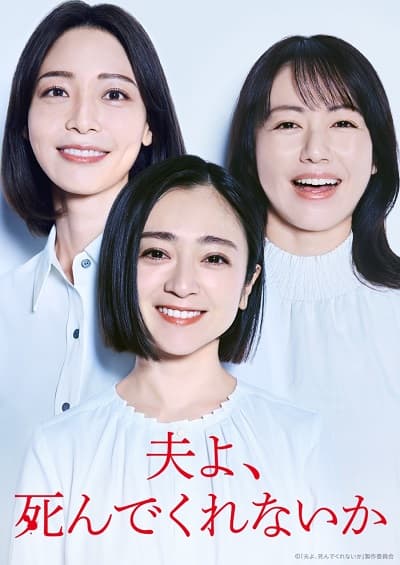 Poster phim Chồng À, Làm Ơn Chết Đi