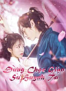 Poster phim Đừng Chọc Giận Sư Huynh Ta