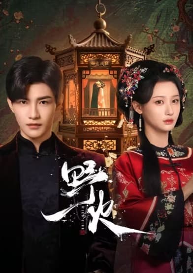 Poster phim Dã Hoả