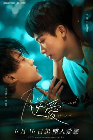Poster phim Nghịch Ái