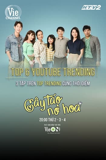 Poster phim Cây Táo Nở Hoa