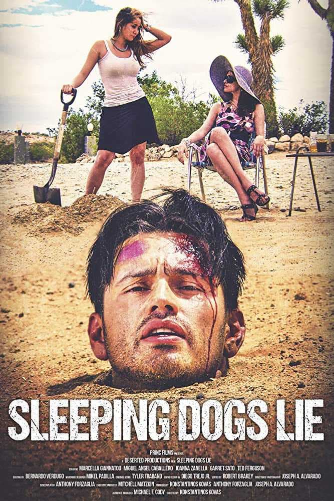 Poster phim Lời Nói Dối Ngọt Ngào