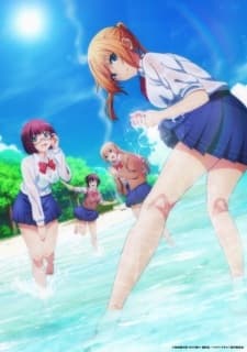 Poster phim Sounan Desu Ka?