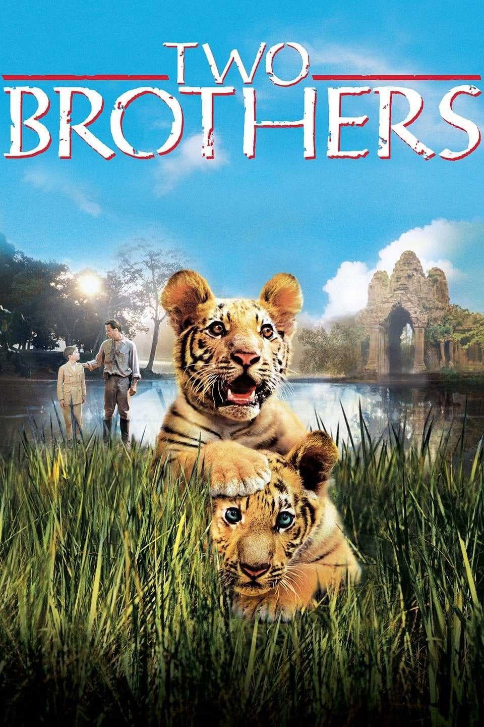Poster phim Hai Anh Em Hổ