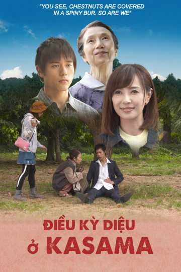 Poster phim Điều Kỳ Diệu Ở Kasama