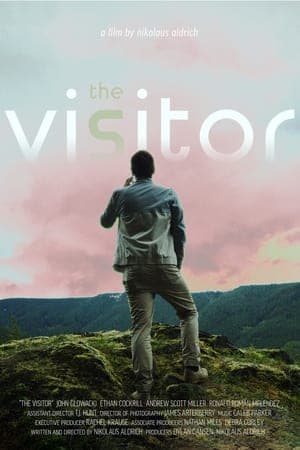 Poster phim The Visitor