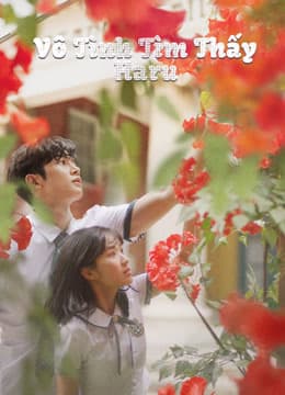 Poster phim Vô Tình Tìm Thấy Haru