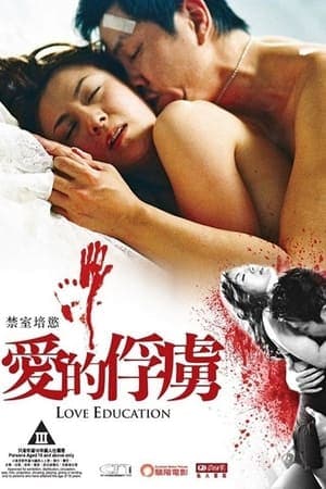 Poster phim Bài Học Tình Yêu
