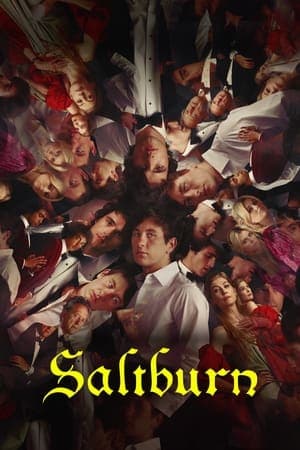 Poster phim Chuyện Ở Saltburn - Xát Muối