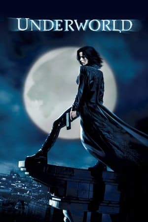 Poster phim Thế Giới Ngầm 1