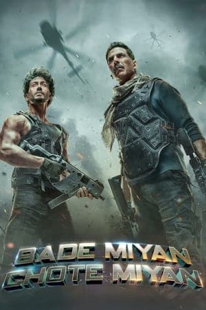 Poster phim Cặp Đôi Song Sát