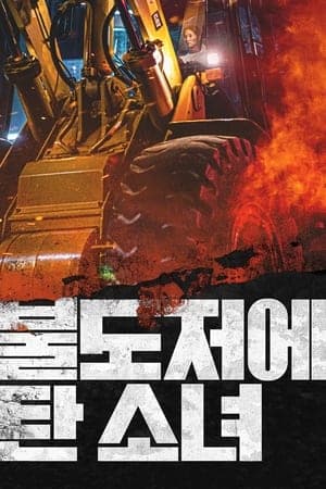 Poster phim Cô Gái Trên Xe Ủi