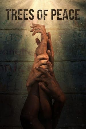 Poster phim Cây Hòa Bình