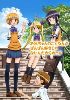 Poster phim Oniichan No Koto Nanka Zenzen Suki Ja Nai N Da Kara Ne!!