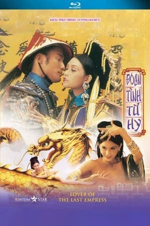 Poster phim Đoạn Tình Từ Hy