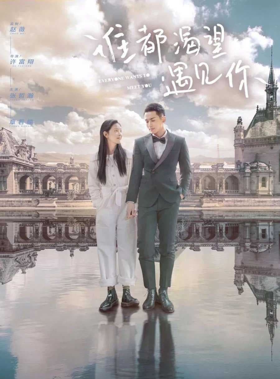 Poster phim Ai Cũng Khao Khát Được Gặp Em