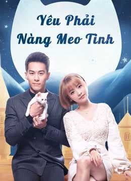 Poster phim Yêu Phải Nàng Meo Tinh