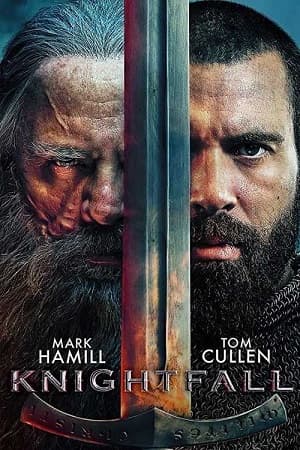 Poster phim Hiệp Sĩ Dòng Đền (Phần 2)