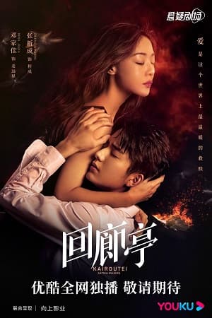 Poster phim Hồi Lang Đình