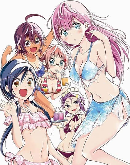 Poster phim Bokutachi Wa Benkyou Ga Dekinai OVA