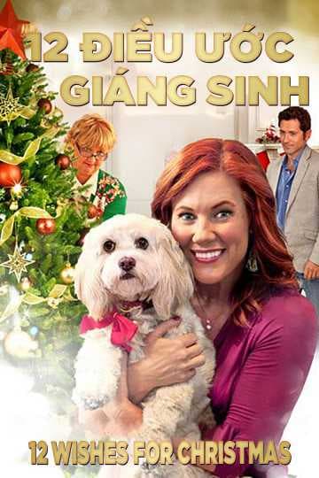 Poster phim 12 Điều Ước Giáng Sinh