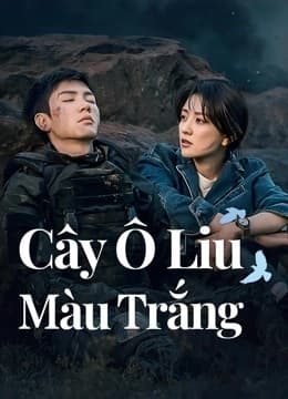 Poster phim Cây Ô Liu Màu Trắng