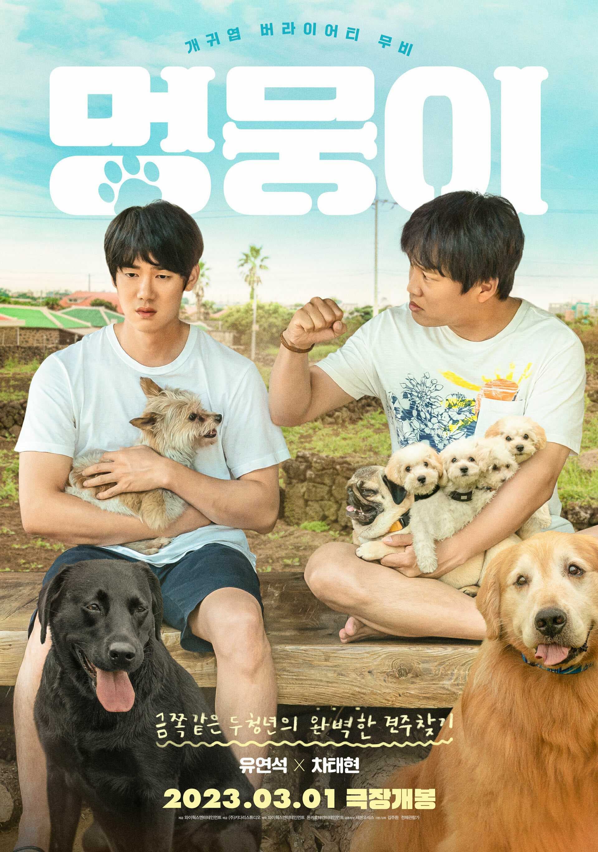 Poster phim Tìm Nhà Cho Boss