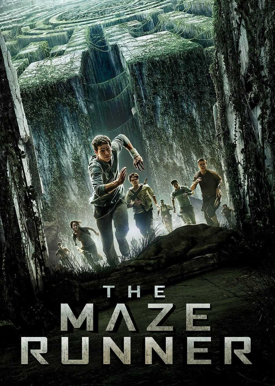 Poster phim Giải Mã Mê Cung