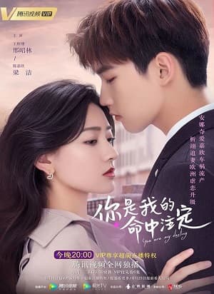 Poster phim Định Mệnh Anh Yêu Em (Bản Trung)