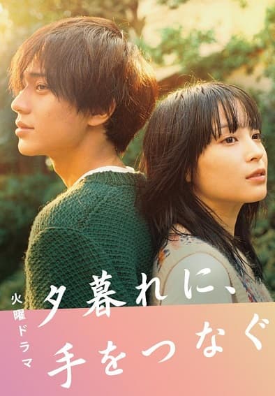 Poster phim Nắm Tay Nhau Khi Hoàng Hôn Buông