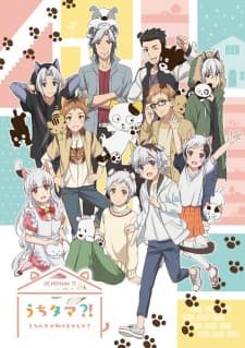 Poster phim Uchi Tama?! Uchi No Tama Shirimasen Ka?