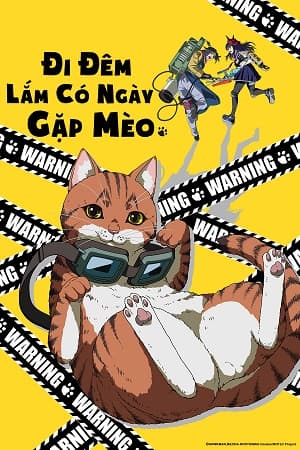 Poster phim Đi Đêm Lắm Có Ngày Gặp Mèo