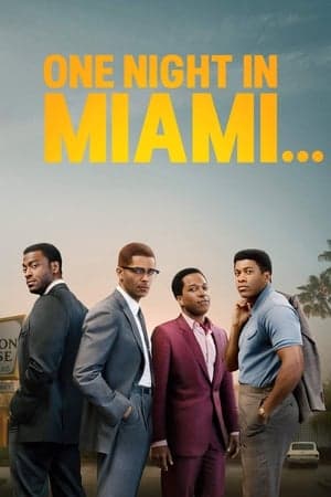 Poster phim Một Đêm Ở Miami