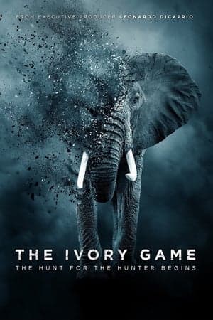 Poster phim Kẻ Trộm Ngà Voi